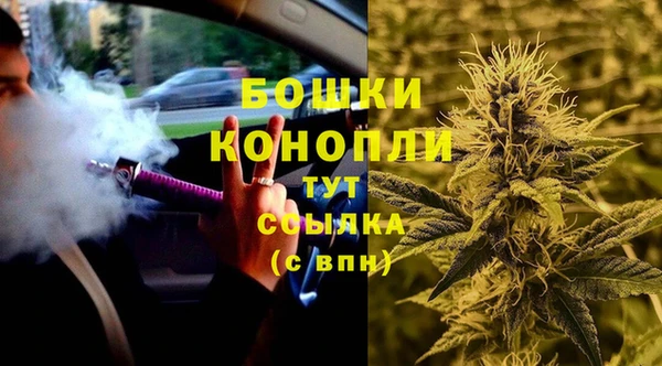 дурь Алзамай